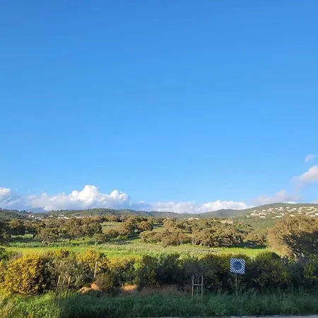 Bright In Albitreccia Near شقة Albitreccia