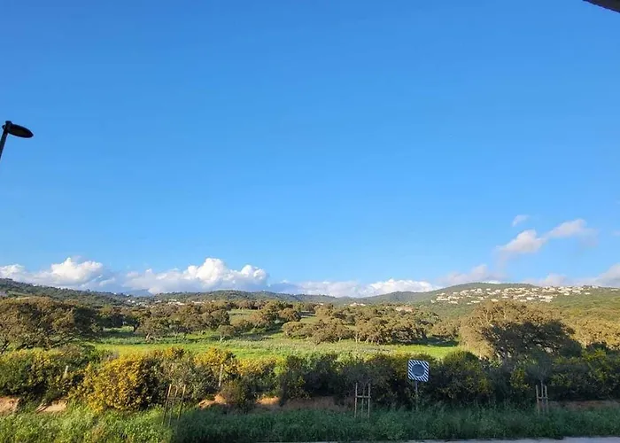 Bright In Albitreccia Near Appartement Albitreccia